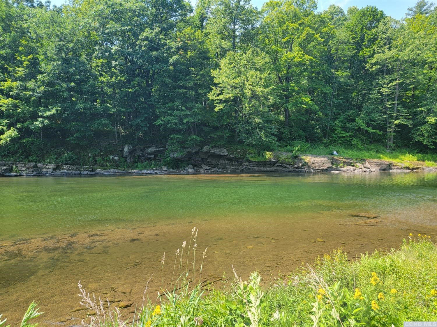 0 Off Indian Ridge Ext Road Leeds, NY 12451 - Photo 8 of 21 a view of a lake view