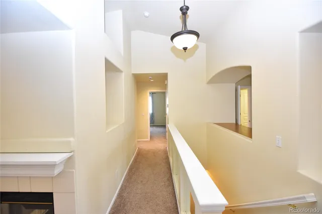 a view of backyard with a barbeque grill and plants