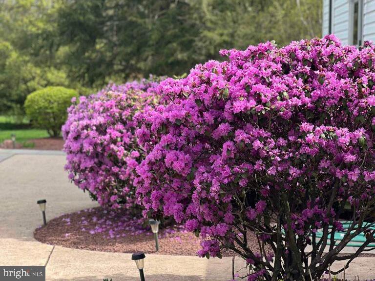 3010 Rickerts Road Perkasie, PA 18944 - Photo 44 of 53 Many Flowering Bushes and Trees