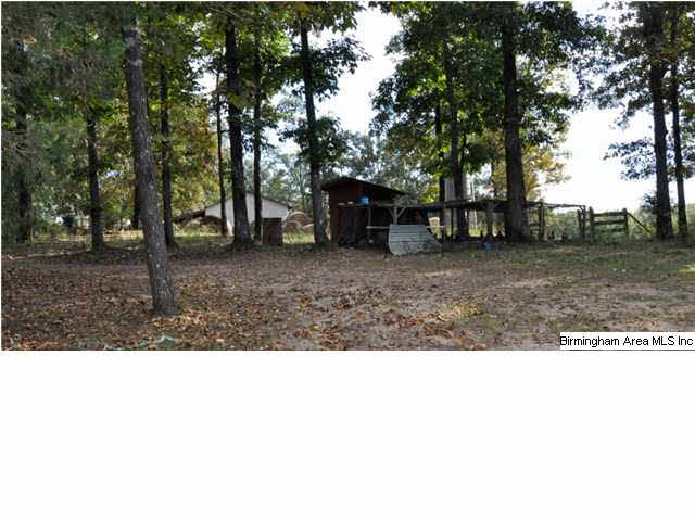 350 Pepper Road Cropwell, AL 35054 - Photo 4 of 24