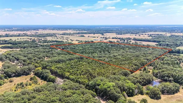 a view of city and ocean