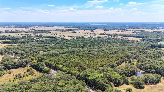 a view of city and ocean