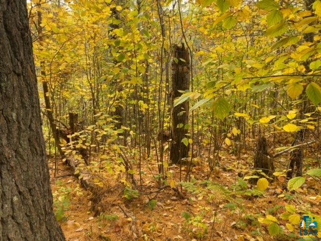 45-xx Cutter Road South Range, WI 54874 - Photo 6 of 14