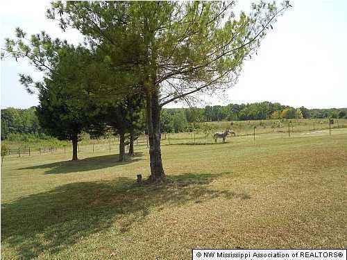 2992 John Harmon Road Sardis, MS 38666 - Photo 20 of 25 Additional Photo