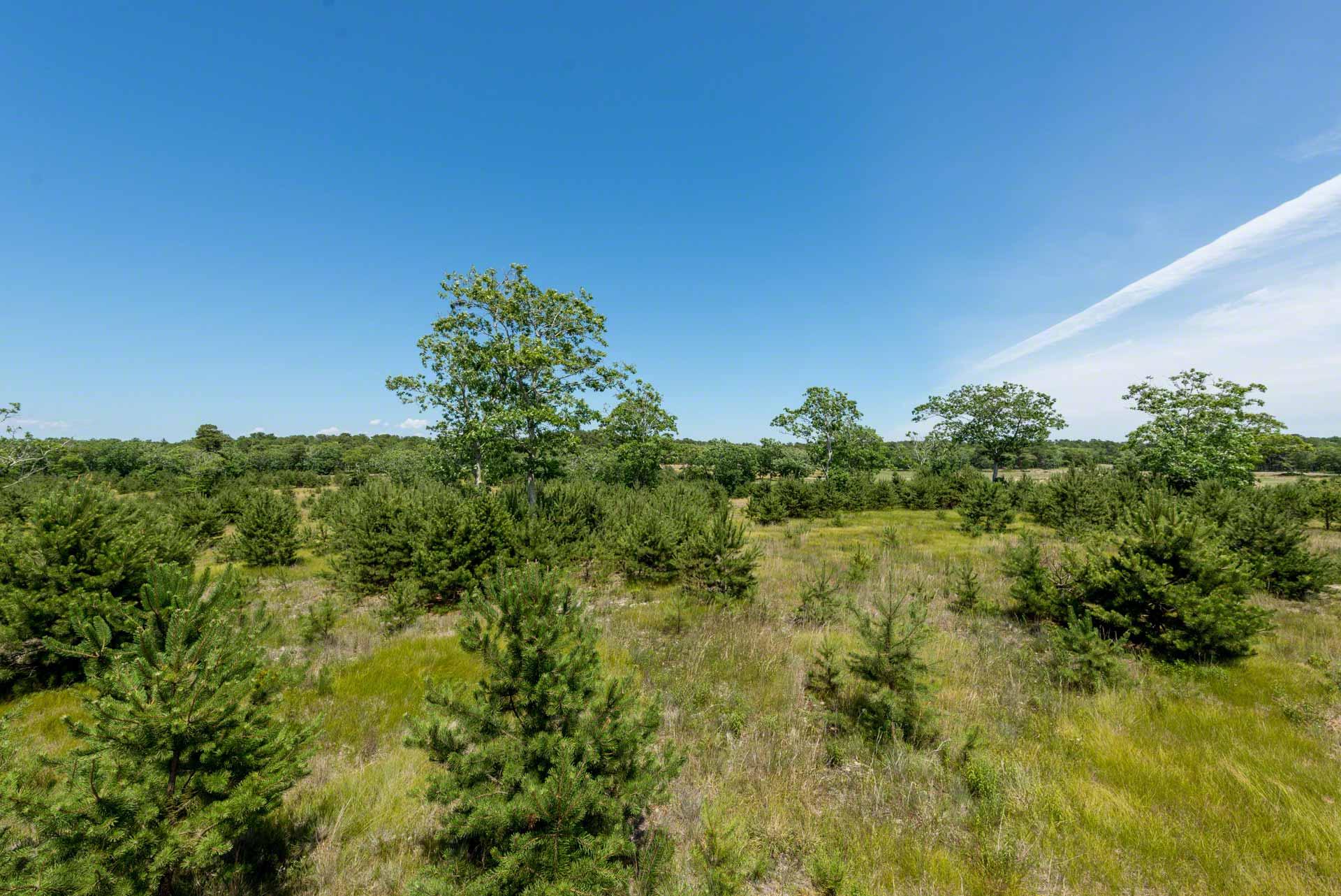 30 Paddock Road Oak Bluffs, MA 02557 - Photo 4 of 5 Preserve-4