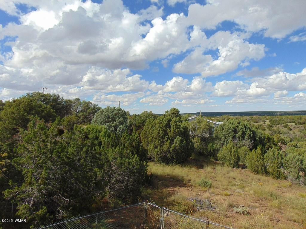 8478 Ridge Place Show Low, AZ 85901 - Photo 10 of 13 Gallery Image 10