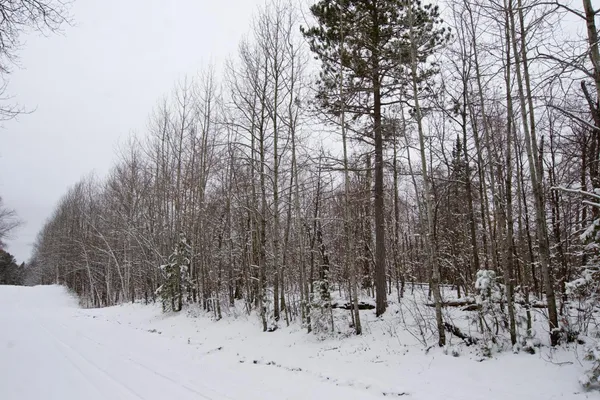 $78,700 | Tbd Sheridan Woods Lane Northeast, Outing, MN 56662