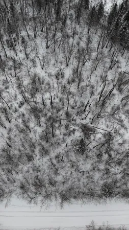 $78,700 | Tbd Sheridan Woods Lane Northeast, Outing, MN 56662