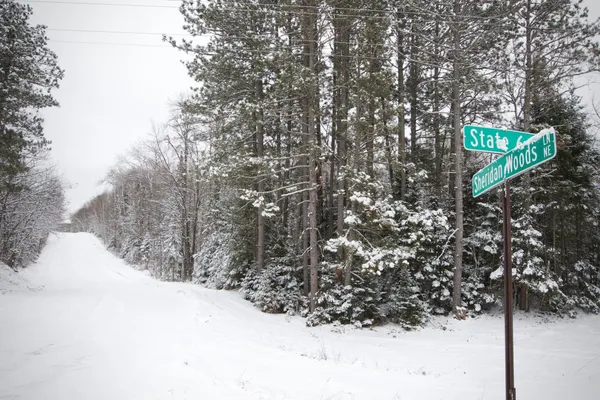 $78,700 | Tbd Sheridan Woods Lane Northeast, Outing, MN 56662