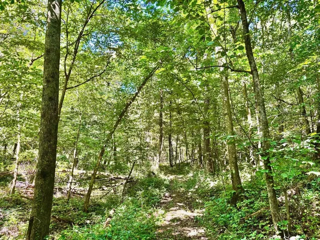 $184,000 | 0 East Burns Valley Road, Winona, MN 55987