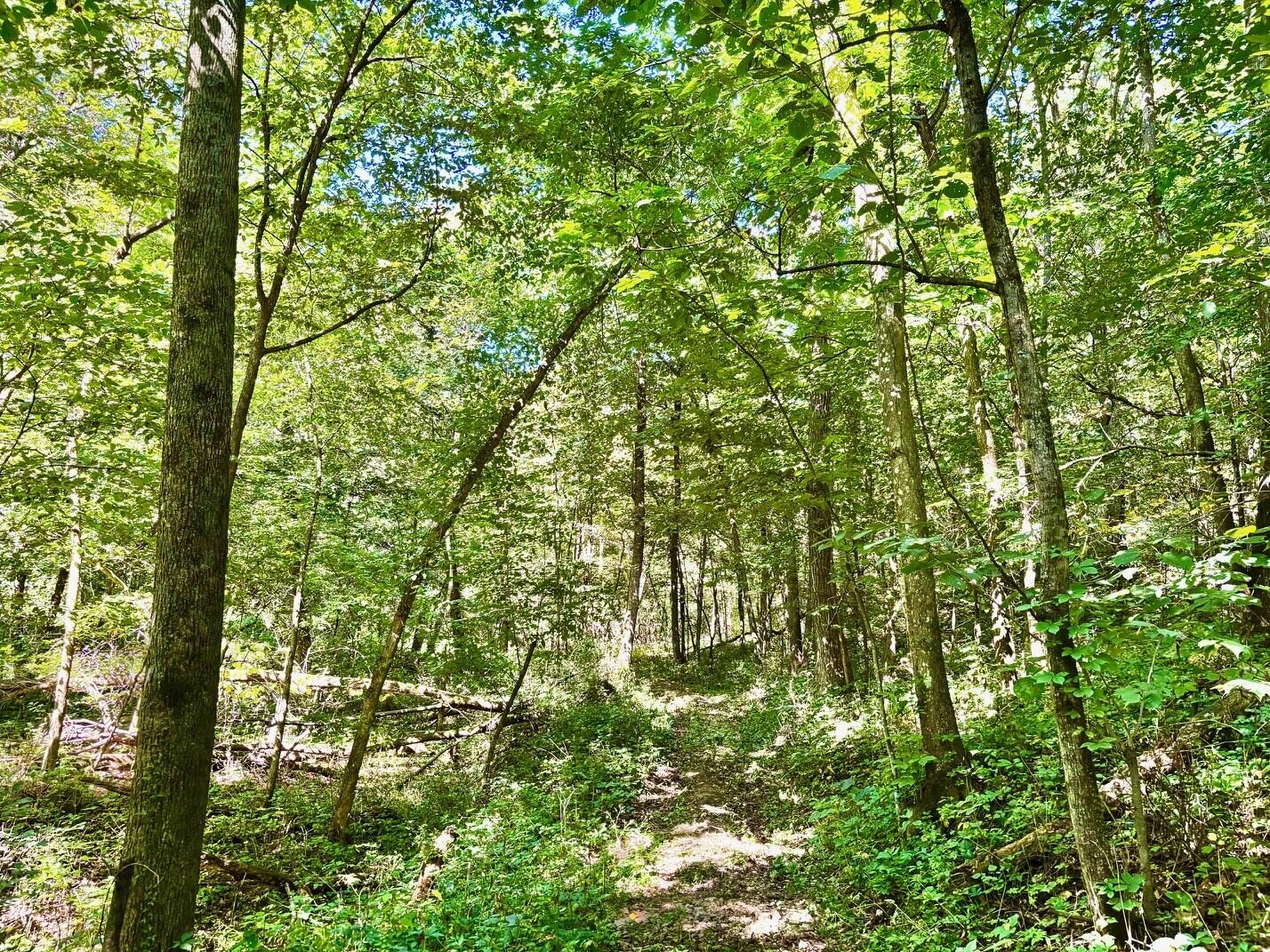 0 East Burns Valley Road Winona, MN 55987 - Photo 12 of 82 6