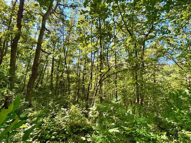 $184,000 | 0 East Burns Valley Road, Winona, MN 55987