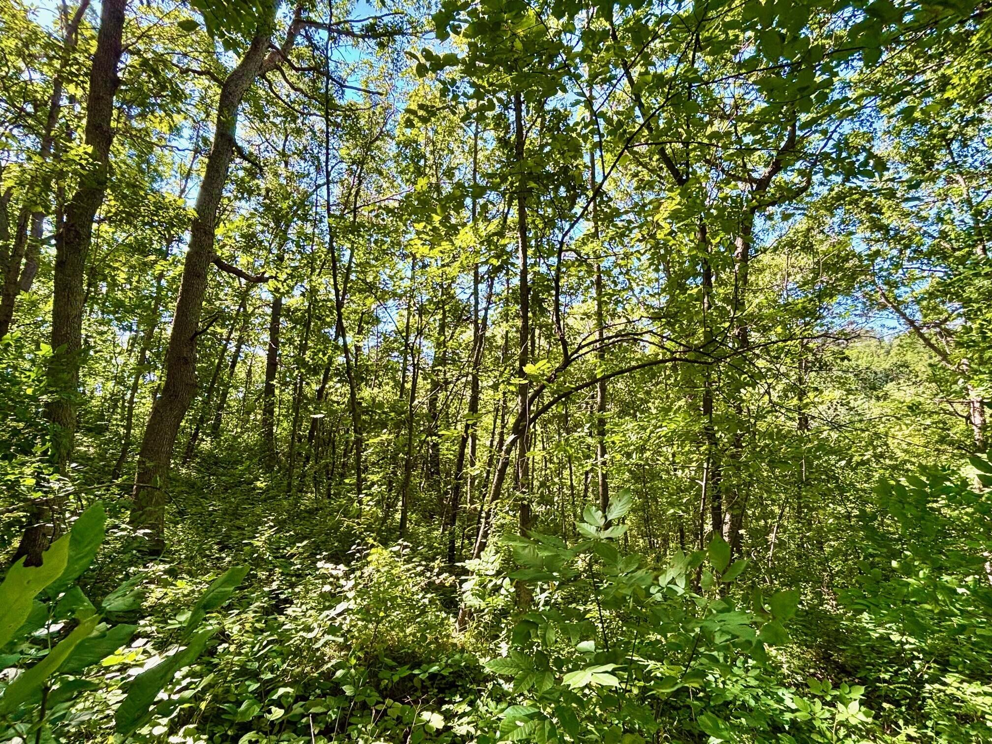 0 East Burns Valley Road Winona, MN 55987 - Photo 14 of 82 8