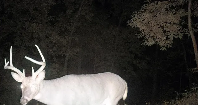 $184,000 | 0 East Burns Valley Road, Winona, MN 55987