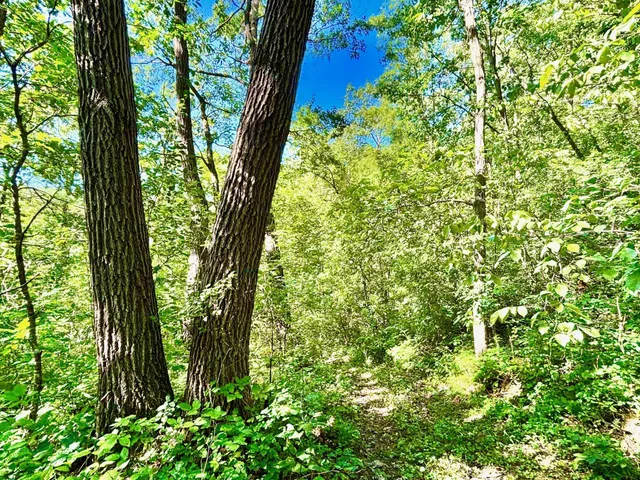 $184,000 | 0 East Burns Valley Road, Winona, MN 55987