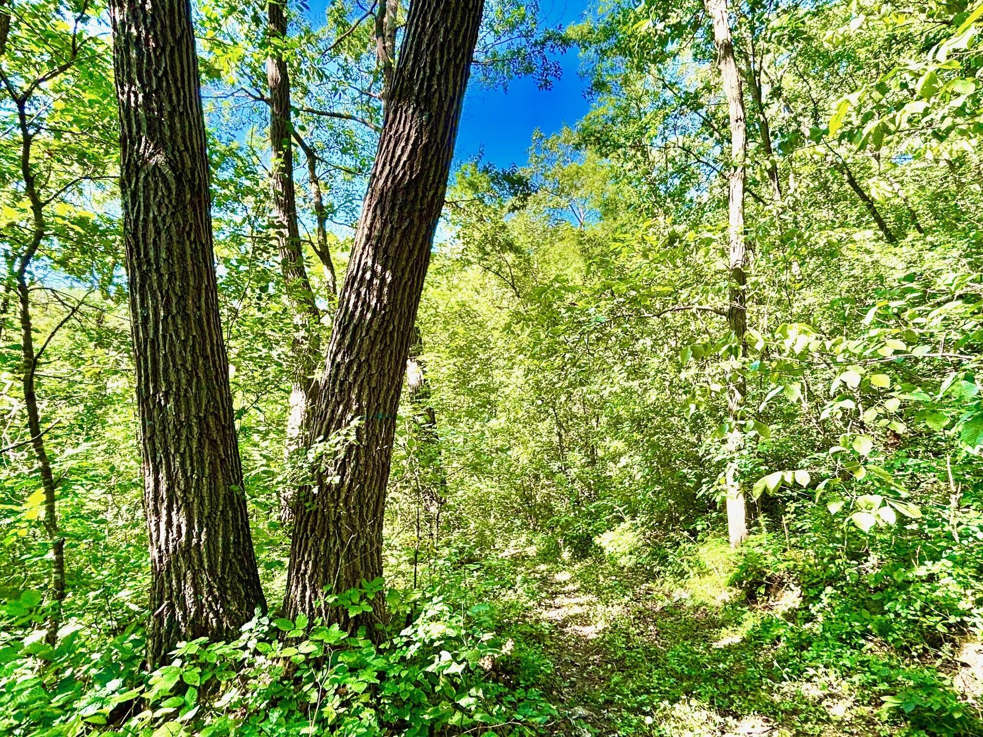 0 East Burns Valley Road Winona, MN 55987 - Photo 17 of 82 9