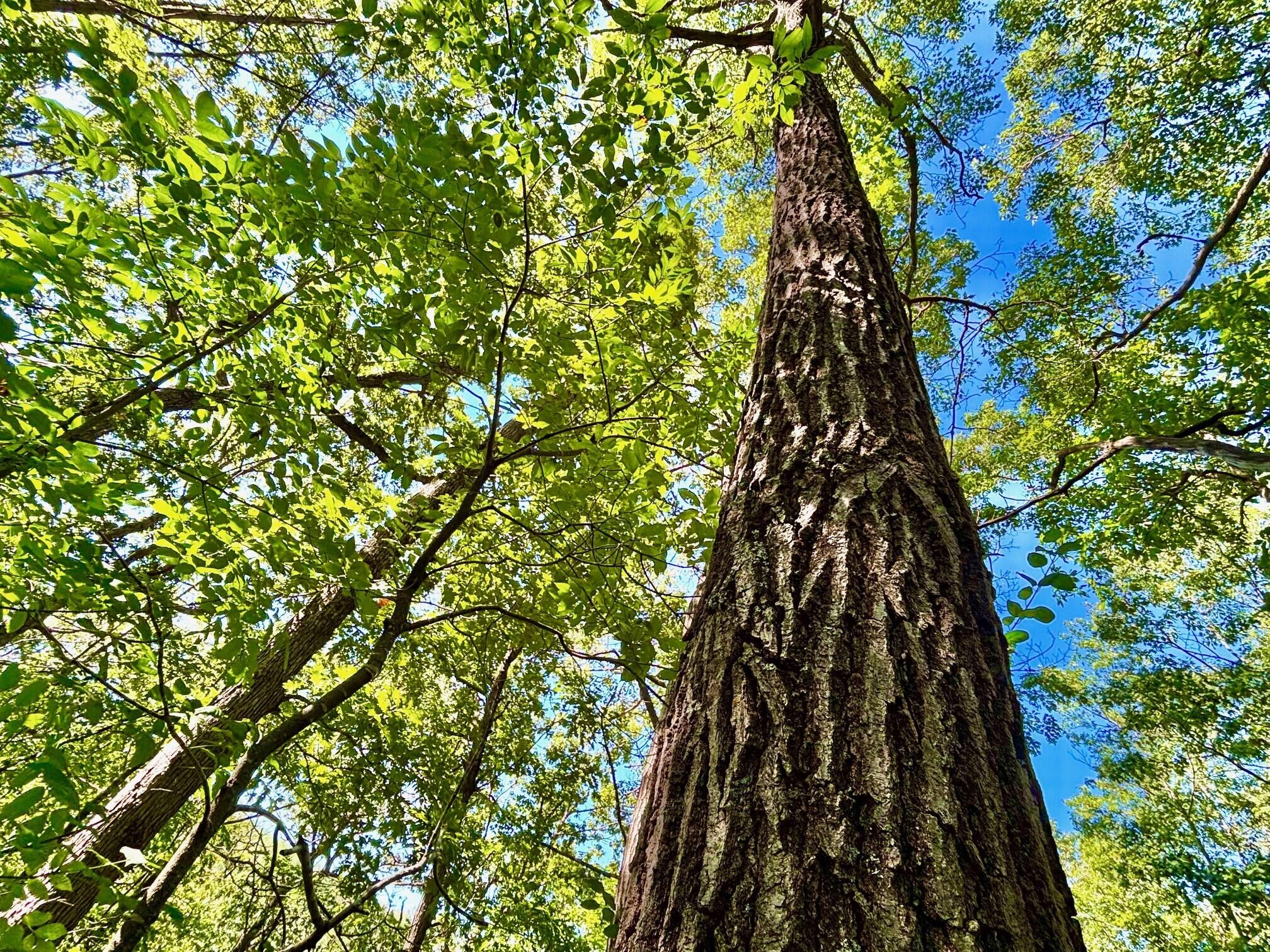 0 East Burns Valley Road Winona, MN 55987 - Photo 18 of 82 10
