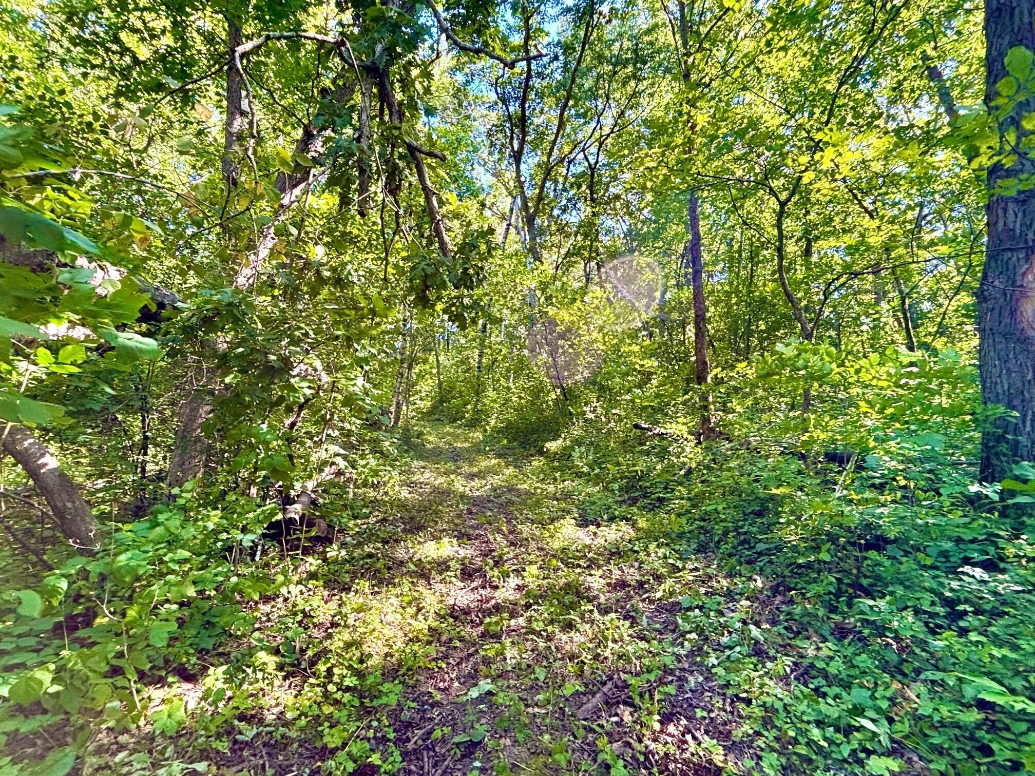 0 East Burns Valley Road Winona, MN 55987 - Photo 19 of 82 11