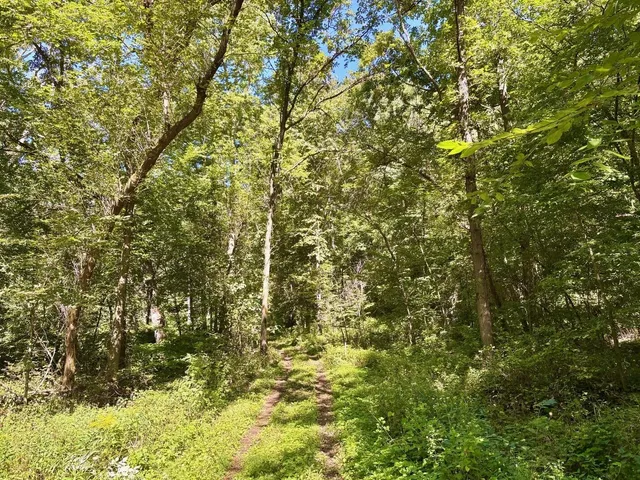 $184,000 | 0 East Burns Valley Road, Winona, MN 55987