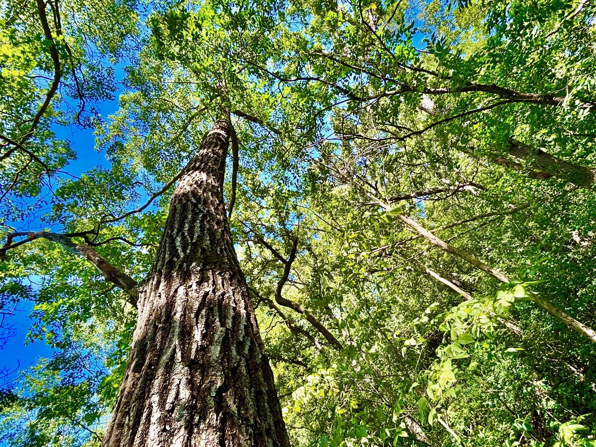 0 East Burns Valley Road Winona, MN 55987 - Photo 22 of 82 12