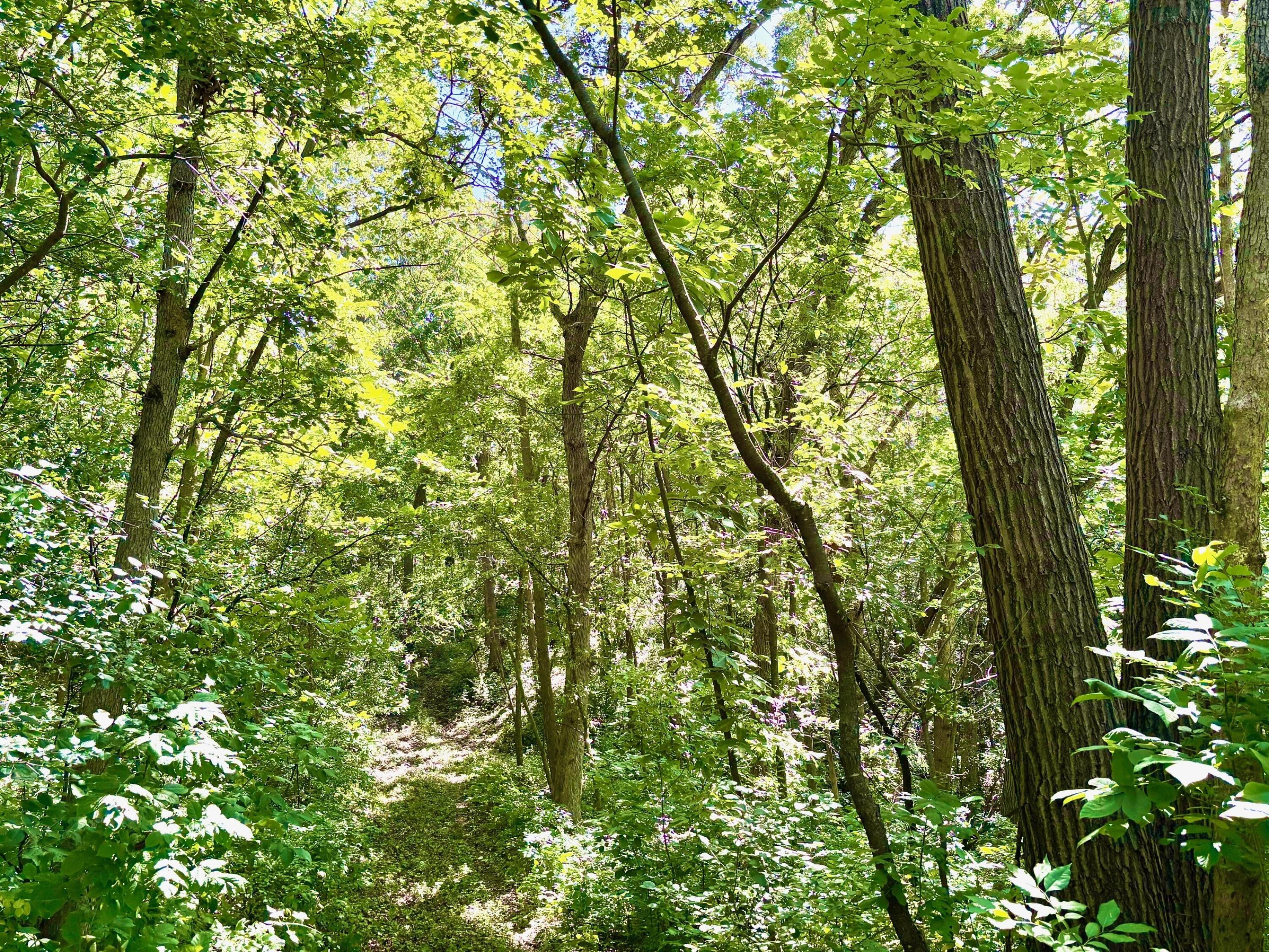 0 East Burns Valley Road Winona, MN 55987 - Photo 24 of 82 14