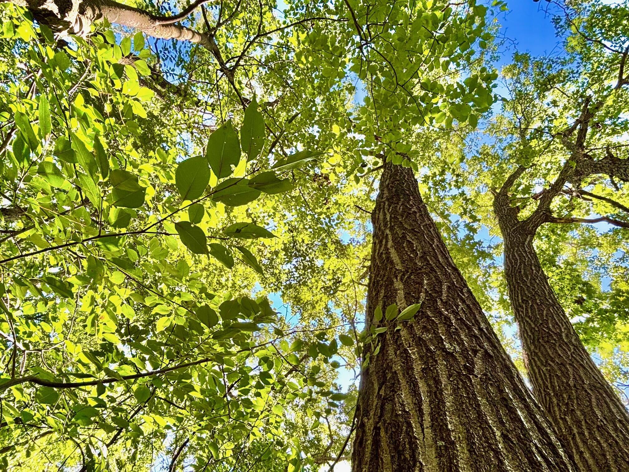 0 East Burns Valley Road Winona, MN 55987 - Photo 26 of 82 15