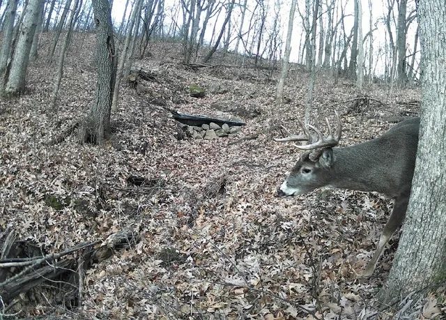 $184,000 | 0 East Burns Valley Road, Winona, MN 55987