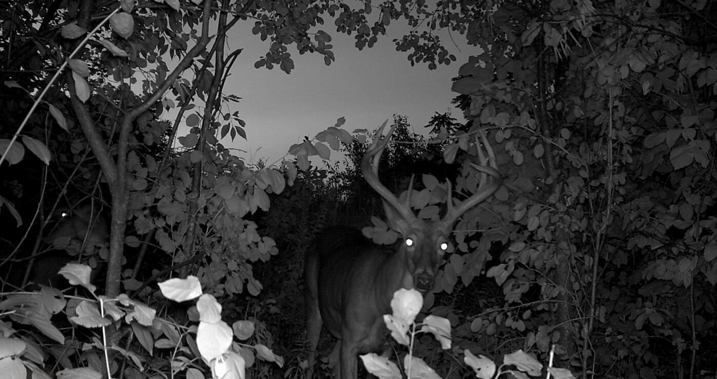 0 East Burns Valley Road Winona, MN 55987 - Photo 33 of 82 305