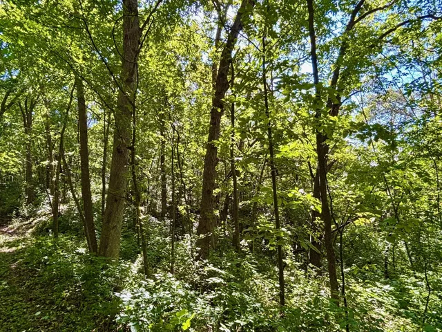 $184,000 | 0 East Burns Valley Road, Winona, MN 55987