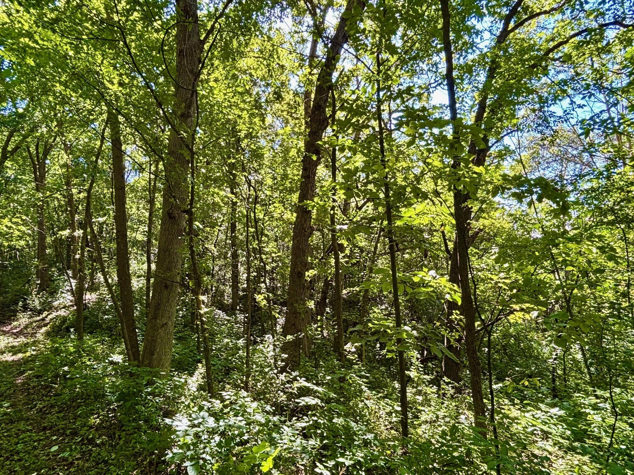 0 East Burns Valley Road Winona, MN 55987 - Photo 34 of 82 17