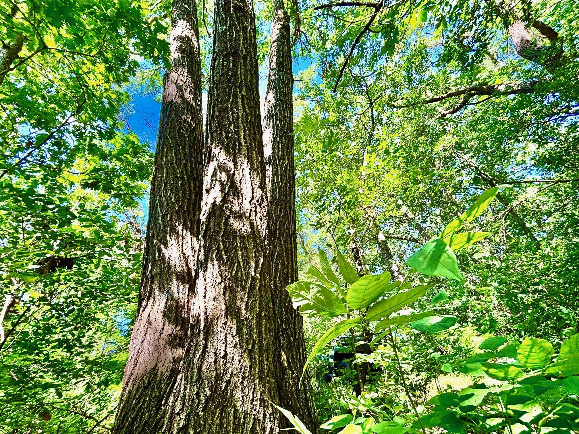 0 East Burns Valley Road Winona, MN 55987 - Photo 35 of 82 18