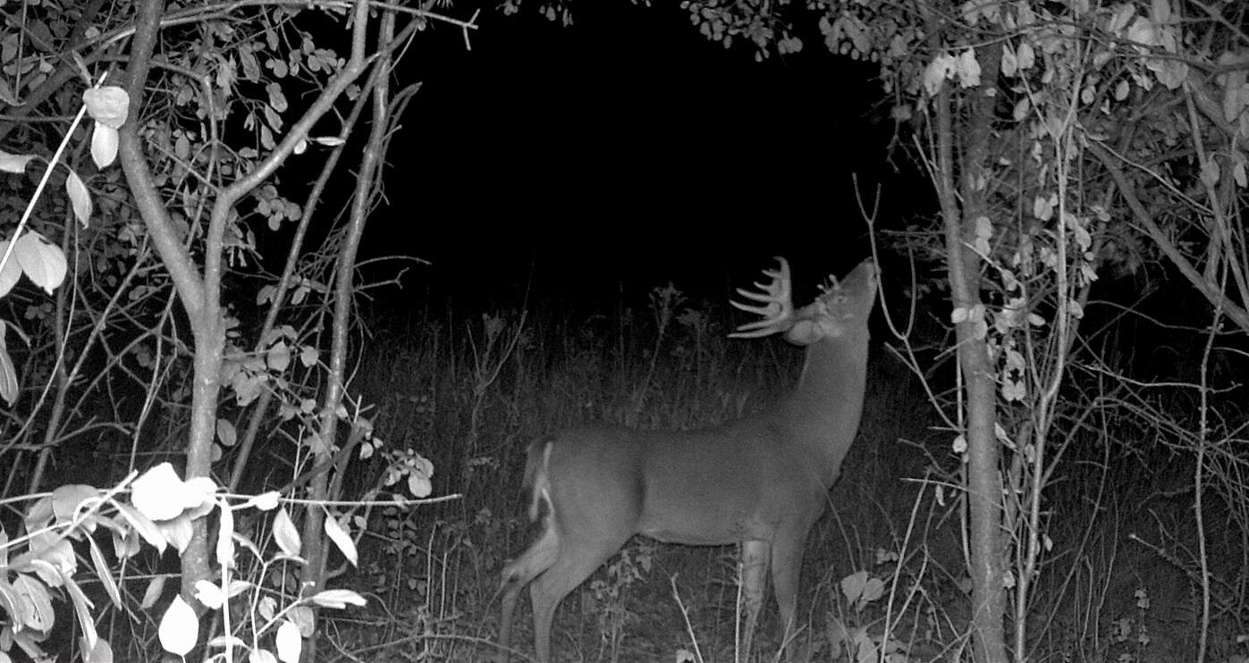 0 East Burns Valley Road Winona, MN 55987 - Photo 38 of 82 MFDC0539