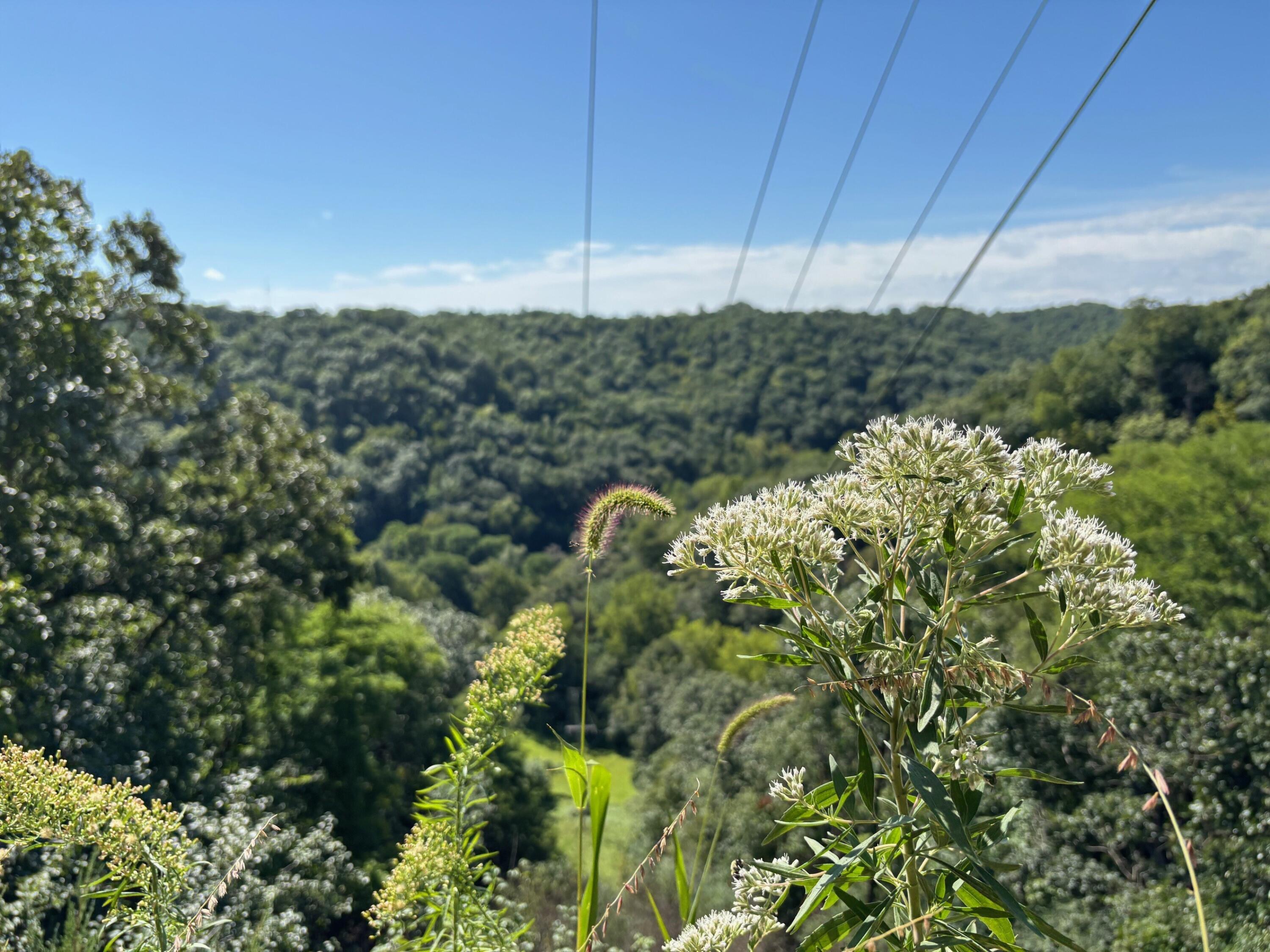 0 East Burns Valley Road Winona, MN 55987 - Photo 44 of 82 25