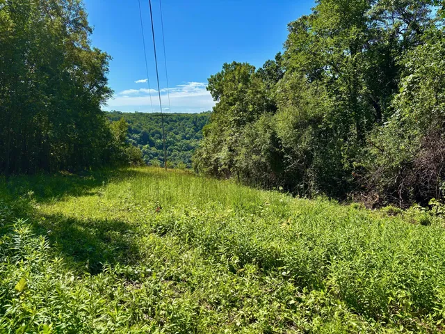 $184,000 | 0 East Burns Valley Road, Winona, MN 55987