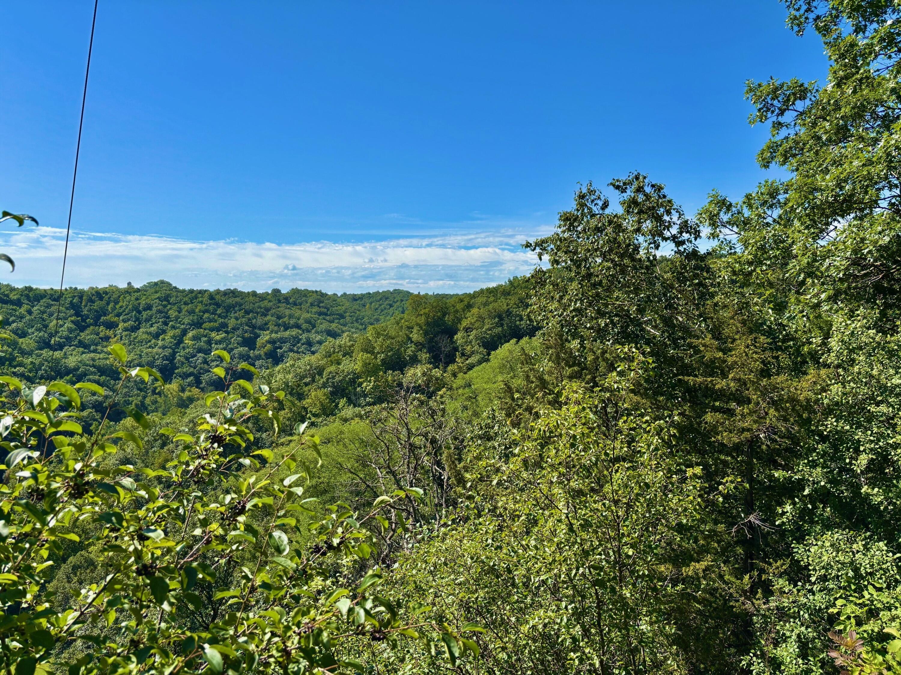 0 East Burns Valley Road Winona, MN 55987 - Photo 52 of 82 29