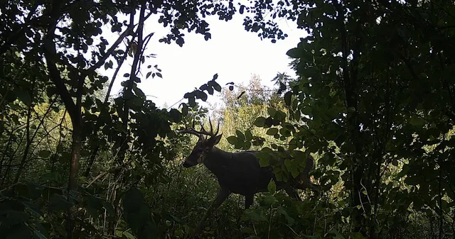 $184,000 | 0 East Burns Valley Road, Winona, MN 55987