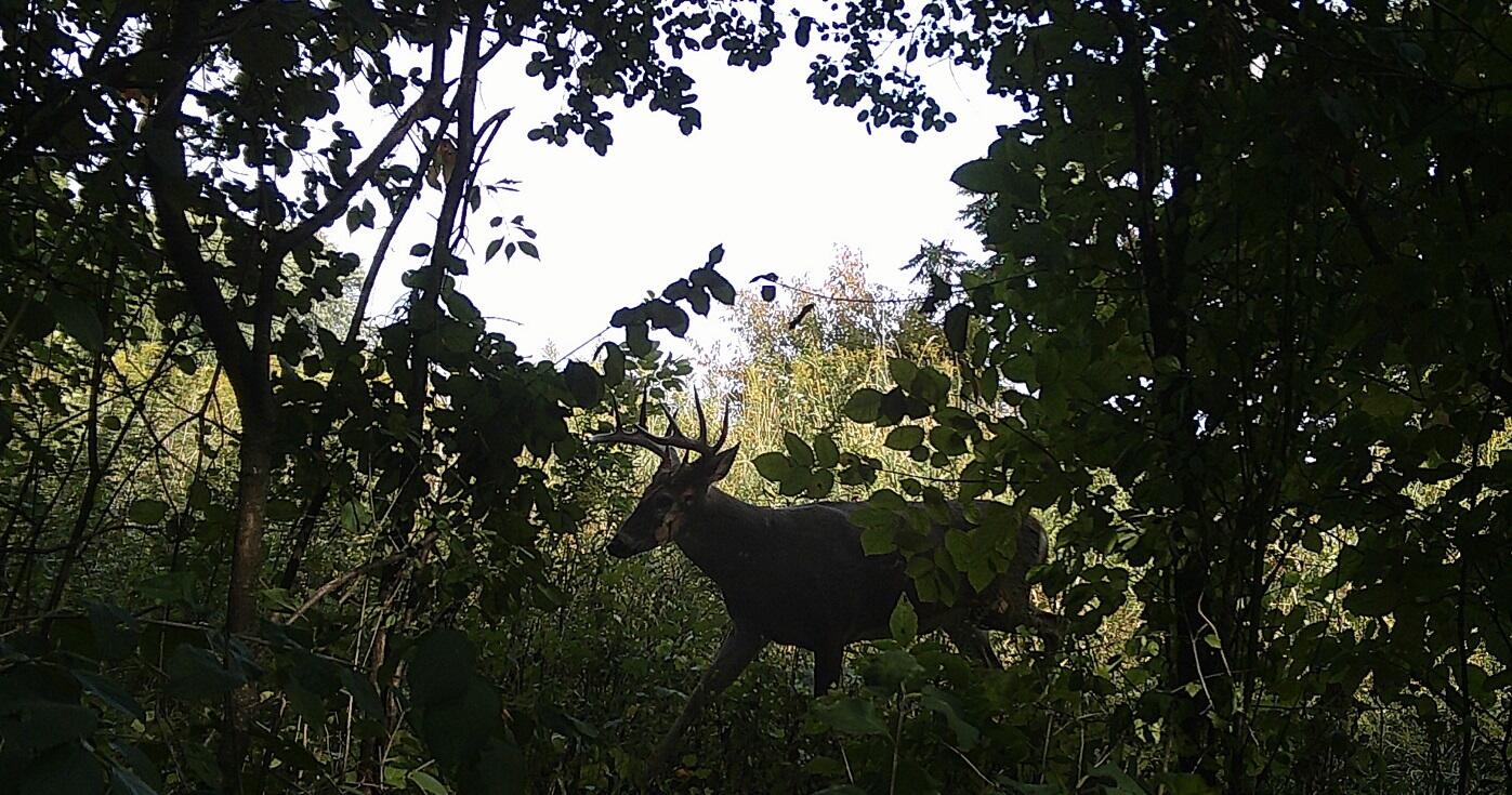 0 East Burns Valley Road Winona, MN 55987 - Photo 53 of 82 1