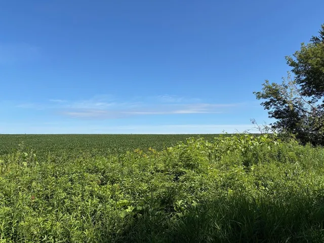 $184,000 | 0 East Burns Valley Road, Winona, MN 55987