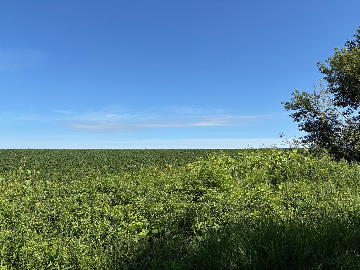 0 East Burns Valley Road Winona, MN 55987 - Photo 56 of 82 34