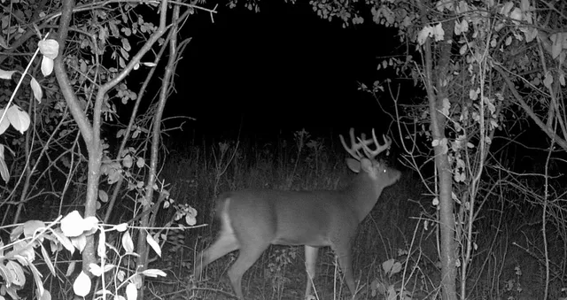 $184,000 | 0 East Burns Valley Road, Winona, MN 55987