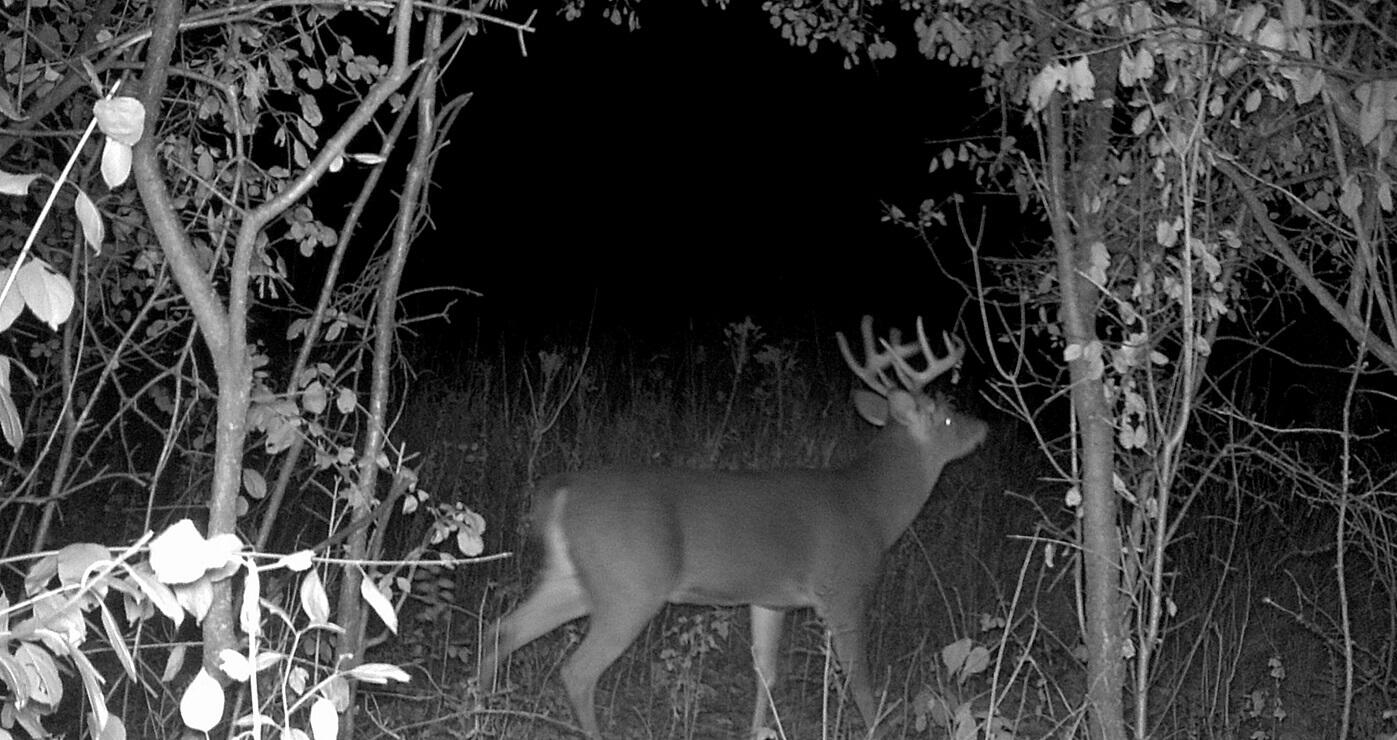 0 East Burns Valley Road Winona, MN 55987 - Photo 58 of 82 MFDC0533