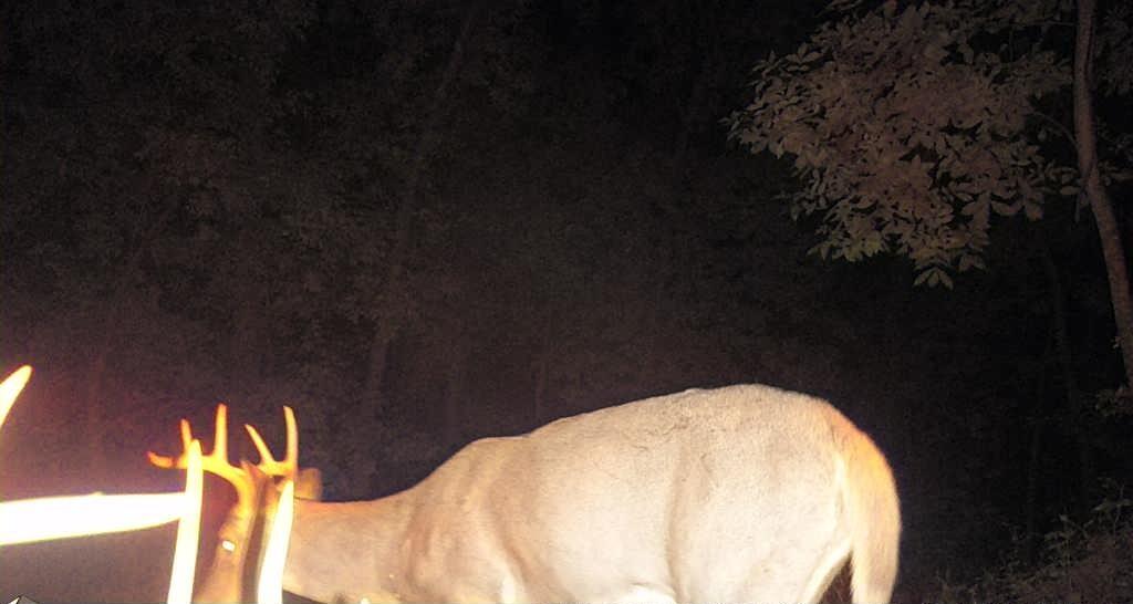 0 East Burns Valley Road Winona, MN 55987 - Photo 66 of 82 a6