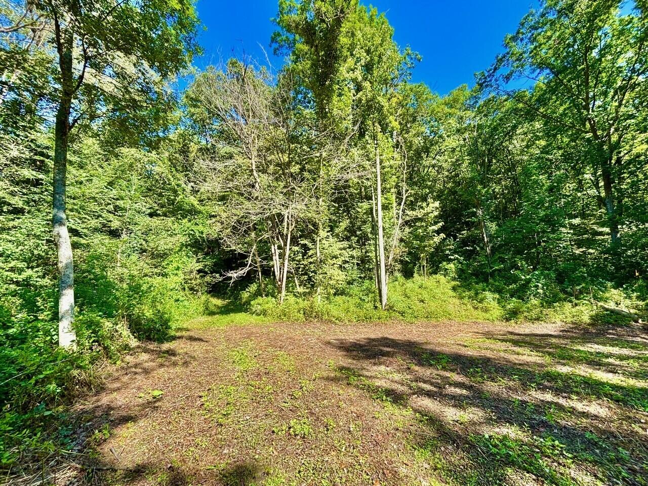 0 East Burns Valley Road Winona, MN 55987 - Photo 7 of 82 3