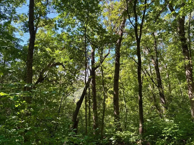 $184,000 | 0 East Burns Valley Road, Winona, MN 55987