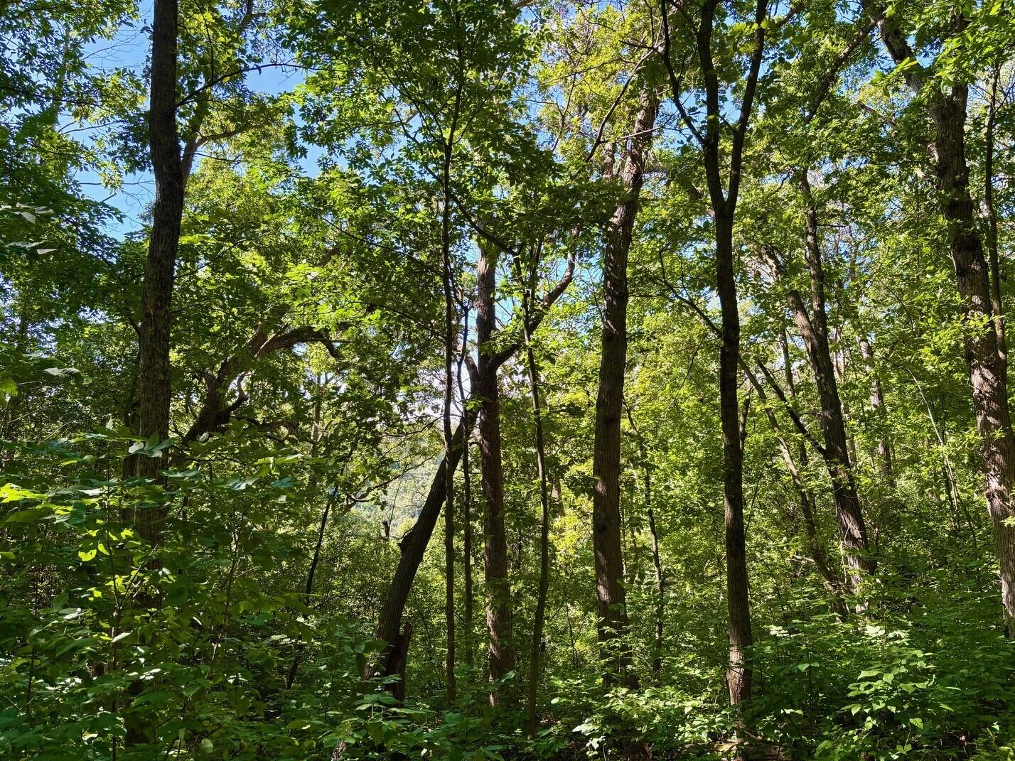0 East Burns Valley Road Winona, MN 55987 - Photo 72 of 82 36
