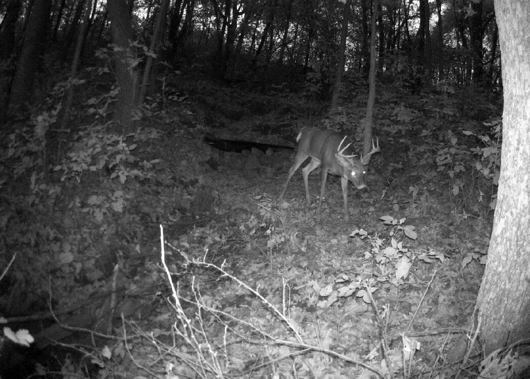 0 East Burns Valley Road Winona, MN 55987 - Photo 74 of 82 DSCF0597