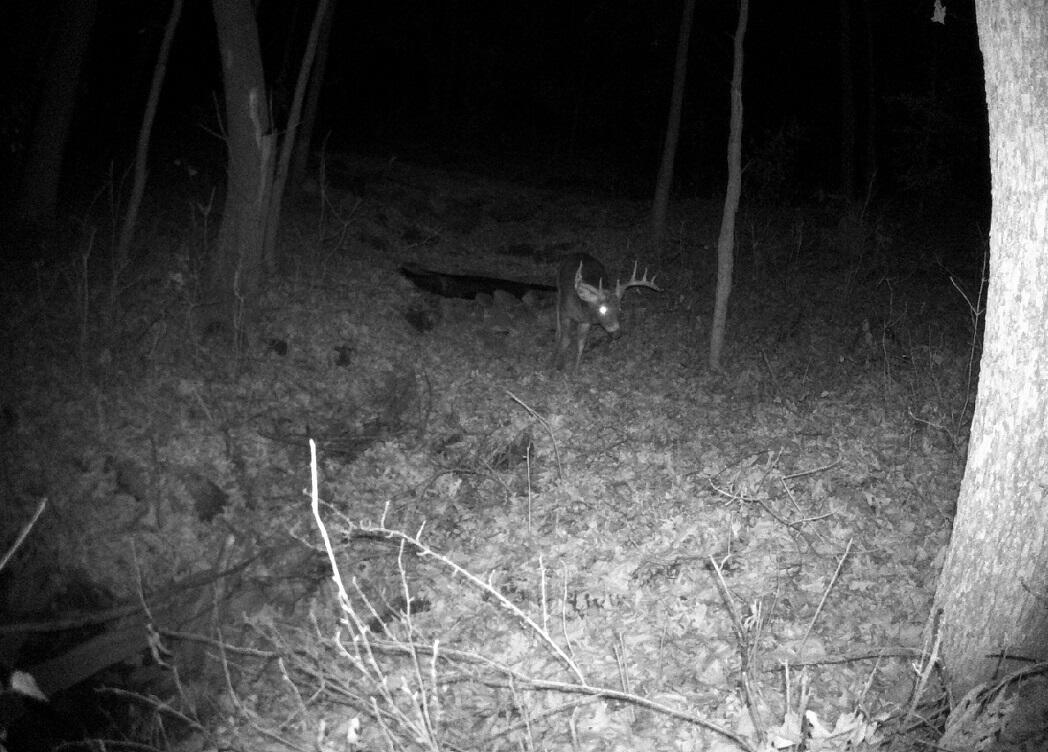 0 East Burns Valley Road Winona, MN 55987 - Photo 76 of 82 DSCF0281