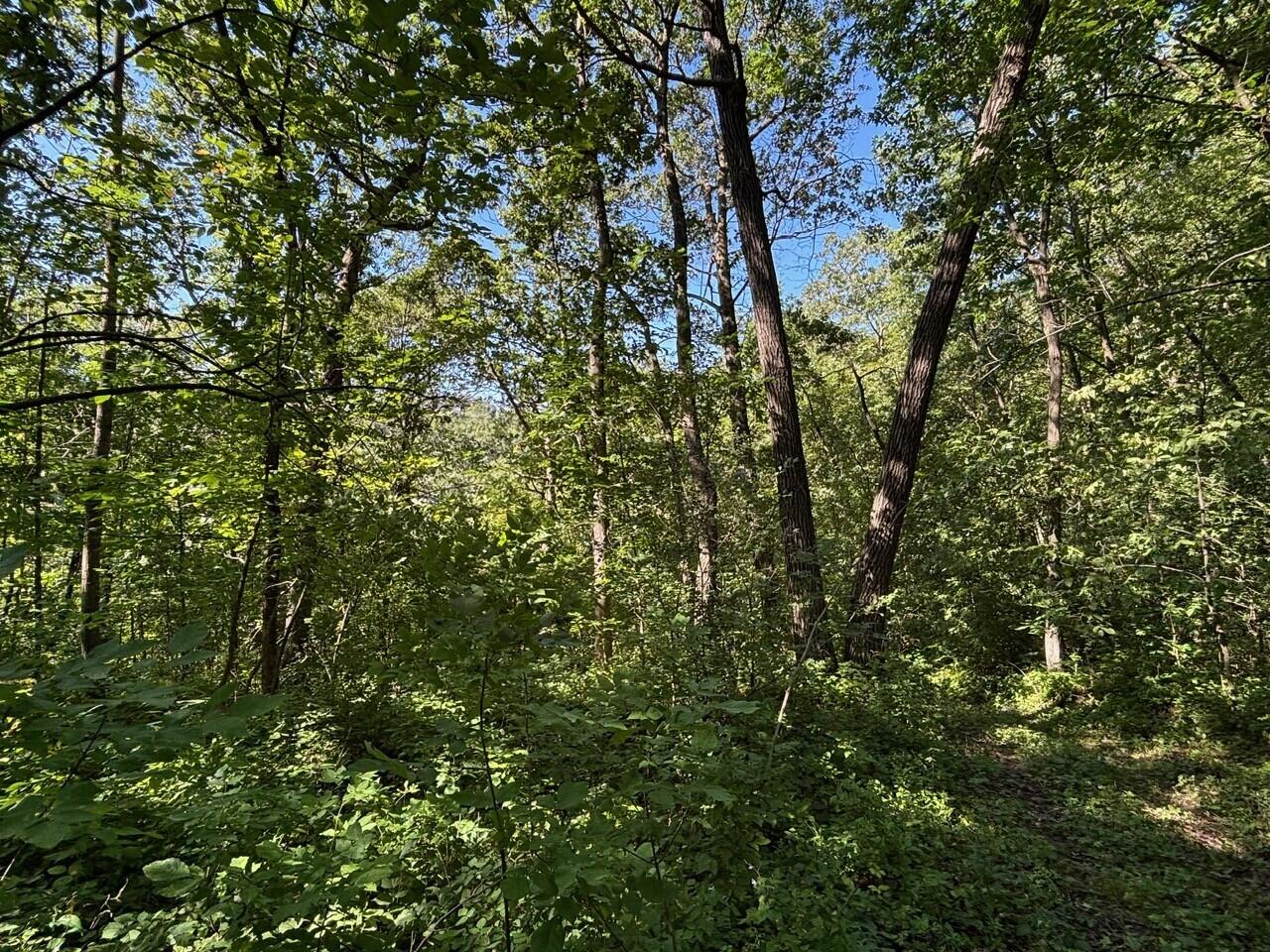 0 East Burns Valley Road Winona, MN 55987 - Photo 9 of 82 5