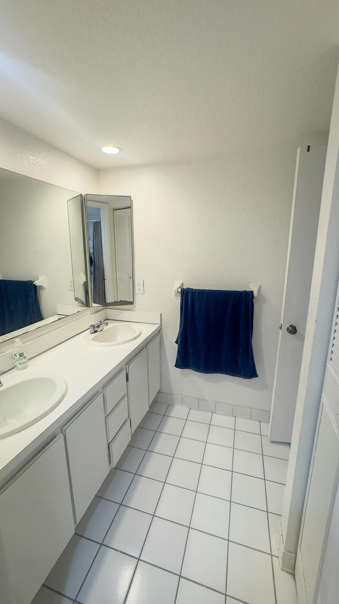 407 Arabian Road Palm Springs, FL 33461 - Photo 17 of 19 IMG_1333-2