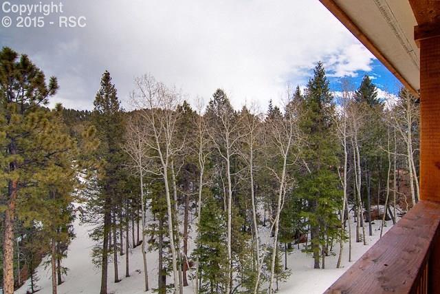 53 Haven Road Divide, CO 80814 - Photo 7 of 22
